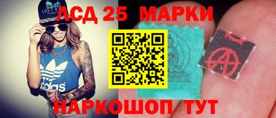 индика Рузаевка