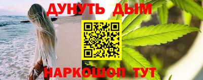 индика Рузаевка