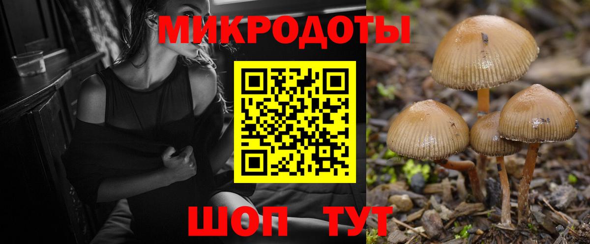 Галлюциногенные грибы Psilocybe  Вход с VPN  Сыктывкар 